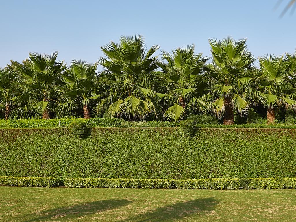 Club Mahindra Kandaghat Luaran gambar